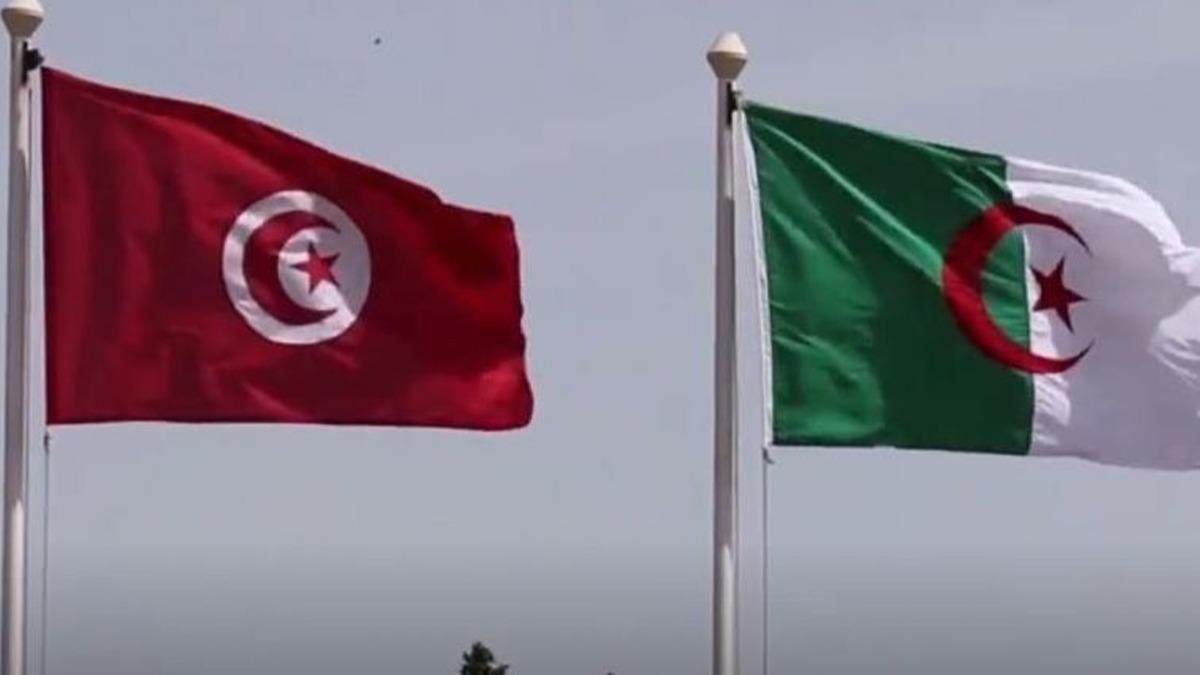 Tunus ve Cezayir'den ortak anlama! 