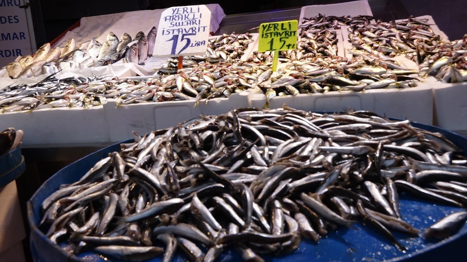 Hamsi avc�l��� dibe vurdu, fiyat� 6 kat artt�