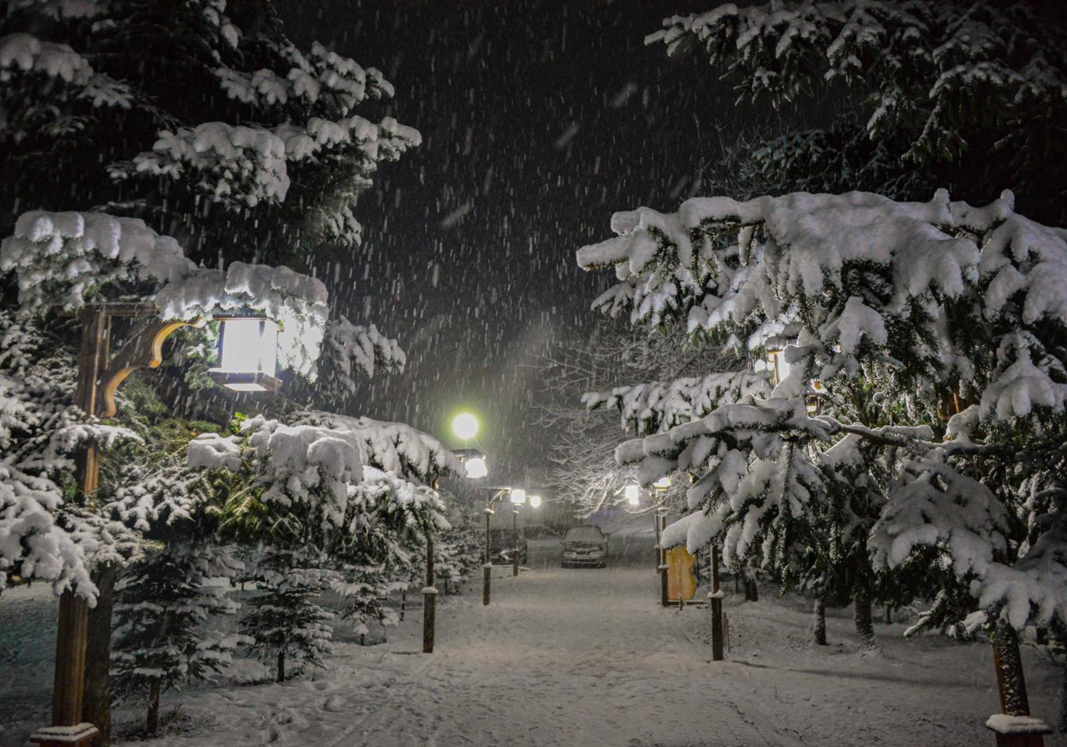 Karadeniz B�lgesi'nde kar ya���� nedeniyle e�itime ara