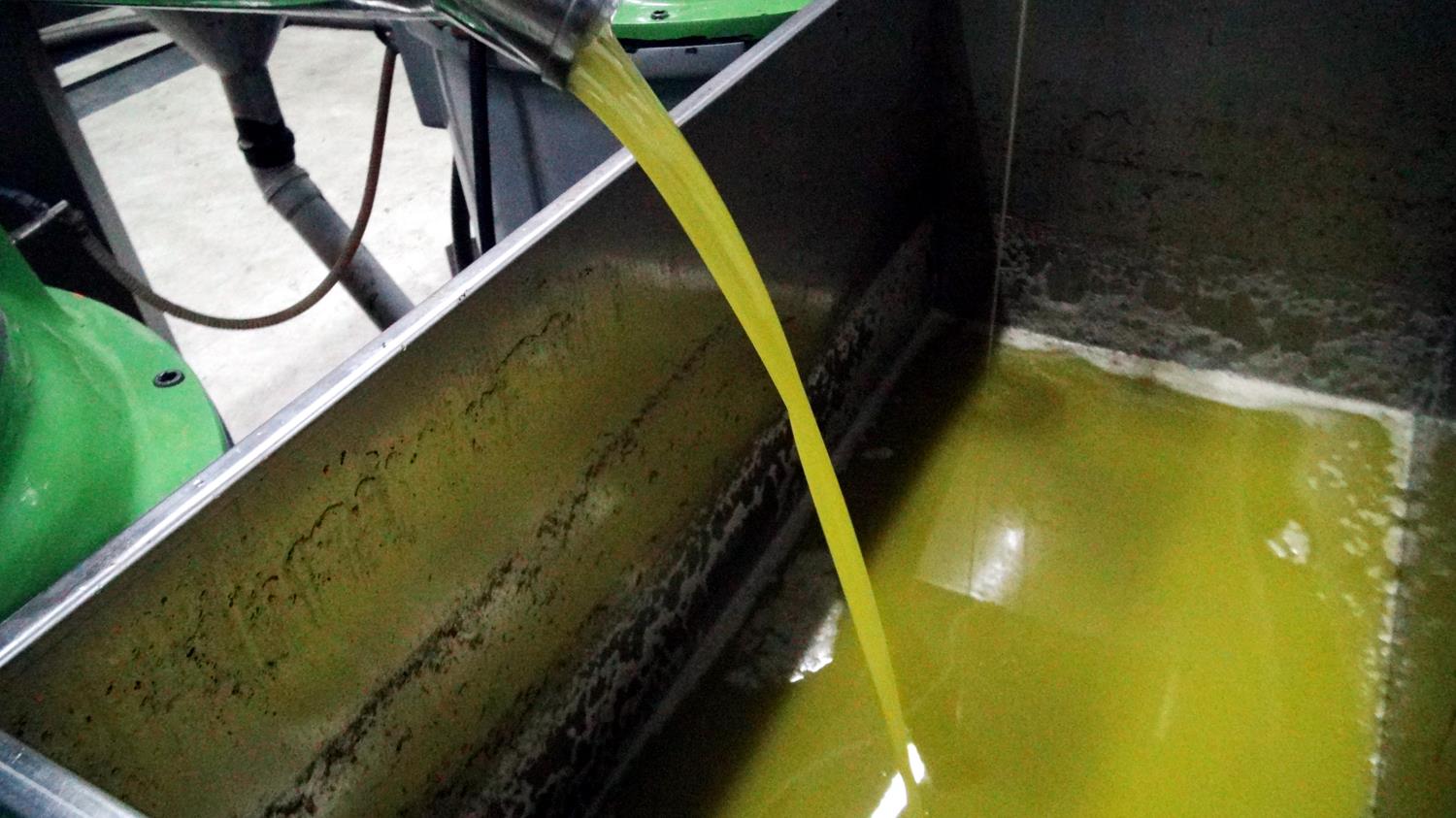 Zeytinya��nda hileye dikkat