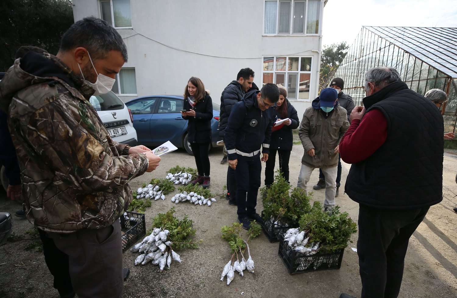 G�k�eada 'damla sak�z�' �retim merkezi oluyor