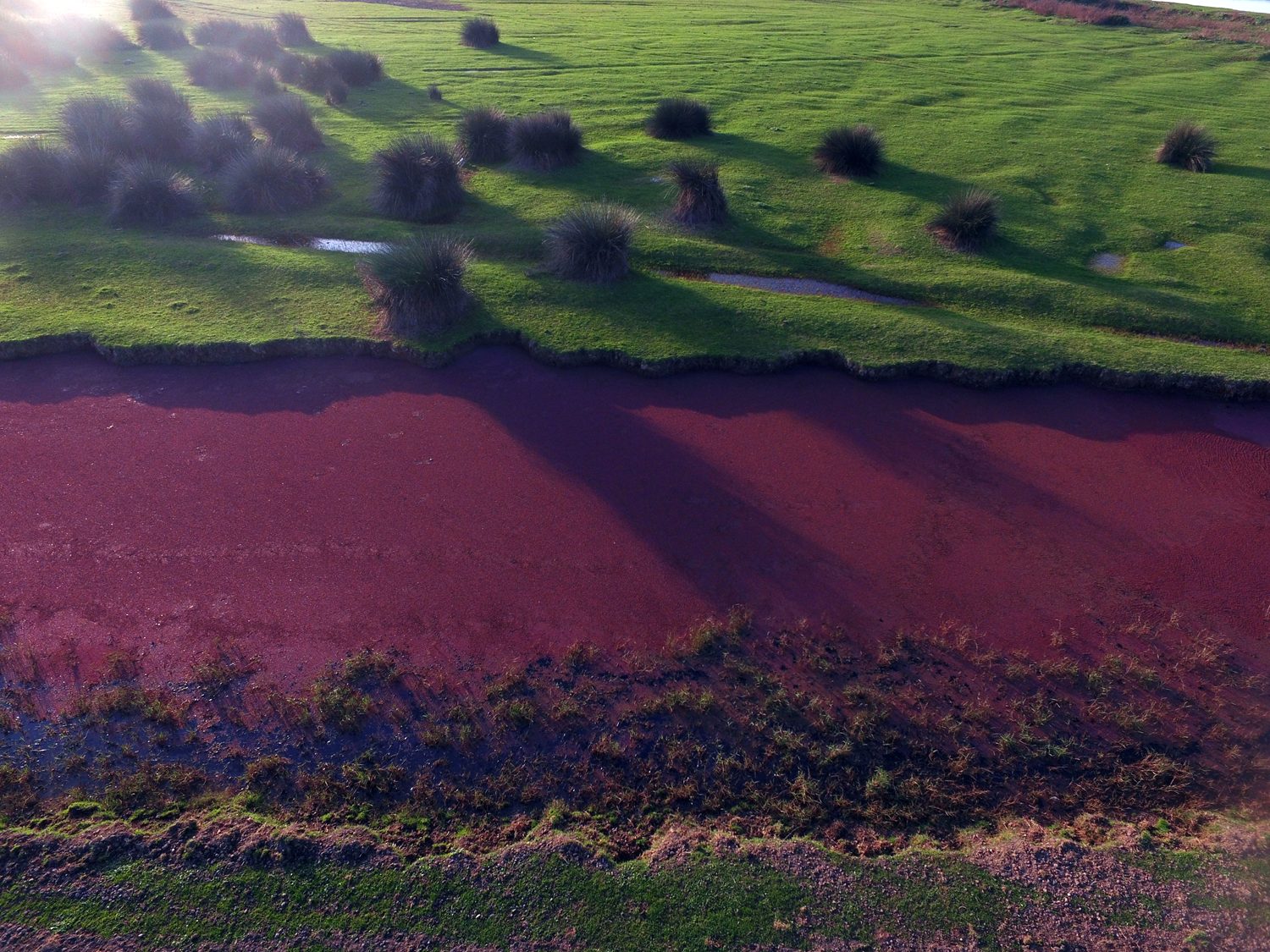 K�z�l�rmak Deltas� k�z�la b�r�nd�