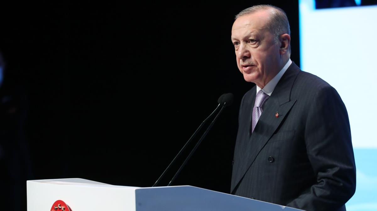 Cumhurbakan Erdoan: Bu dller zorbalara kar alm bir bayraktr