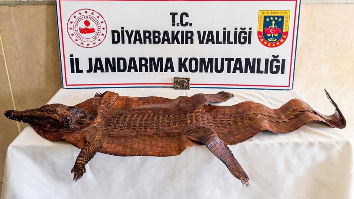 Diyarbakr'da zerinde Arapa mhr bulunan timsah derisi ile tun tablet ele geirildi