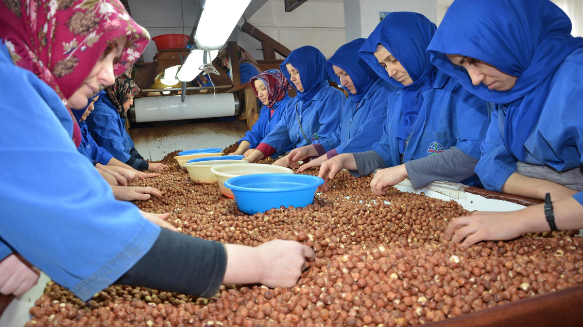 T�rkiye'den yeni rekor! Tam 2 milyar 260 milyon dolar kazan�ld�