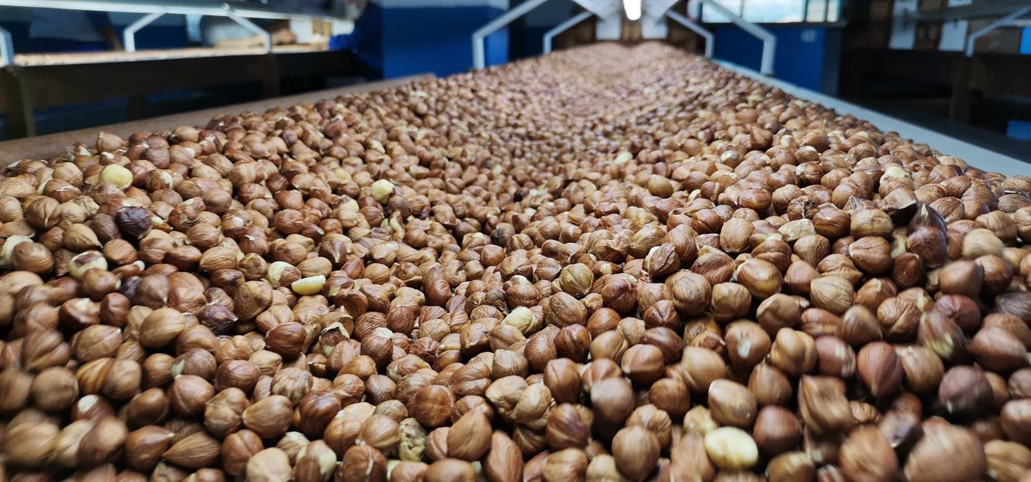 T�rkiye'de �retildi, d�nyaya sat�ld�