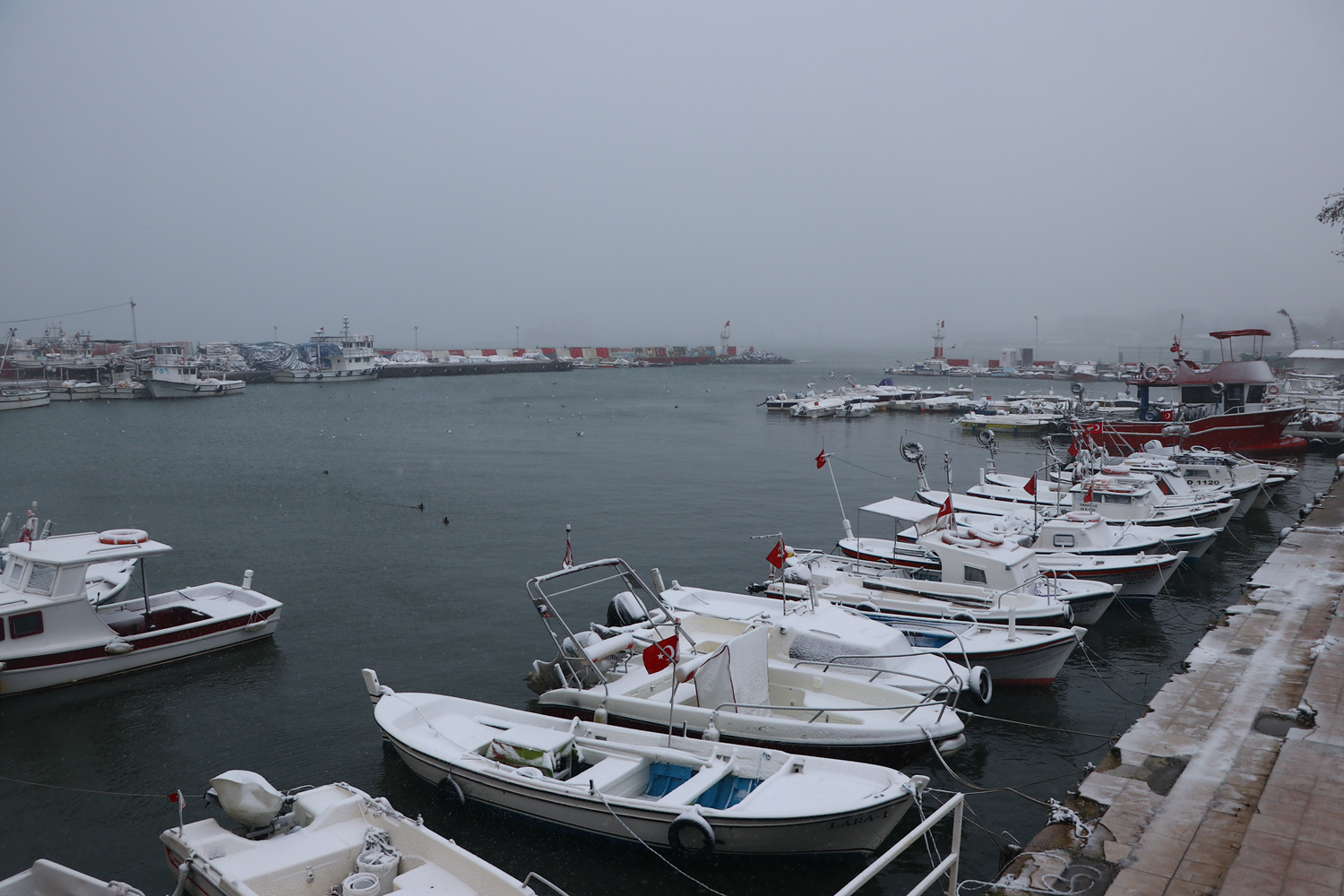 Marmara Denizi'nde poyraz, deniz ula��m�n� olumsuz etkiliyor