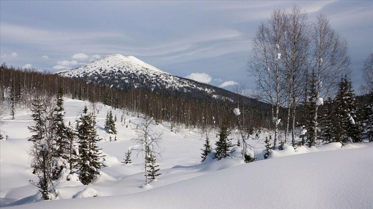 Trk bilim insan Sibirya'da kresel iklim deiikliini aratracak