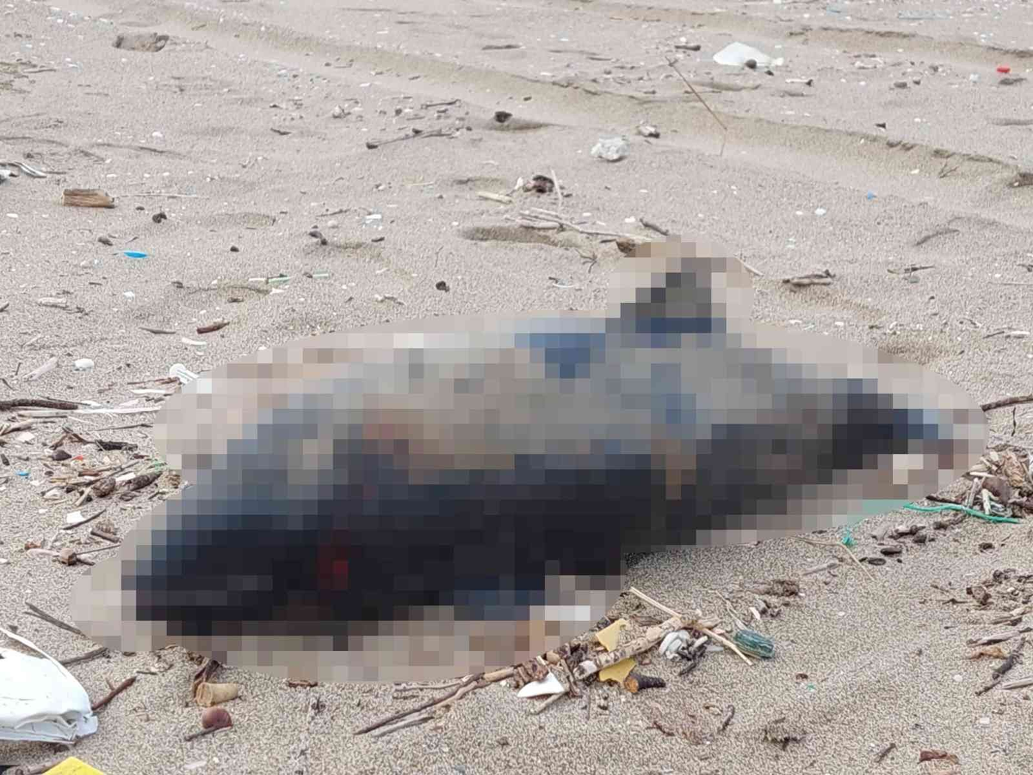 Vatandalar ihbar etti! l yunus kyya vurdu