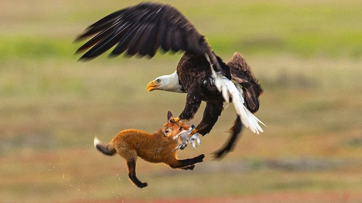 Akllara durgunluk veren 'kurun' zehirlenmesi! Tr iin tehlike anlar