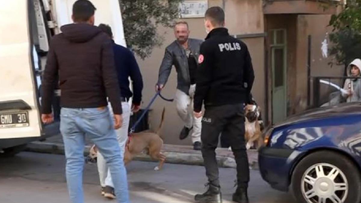 Antalya'da iki Pitbull'un saldrd kadn yaraland
