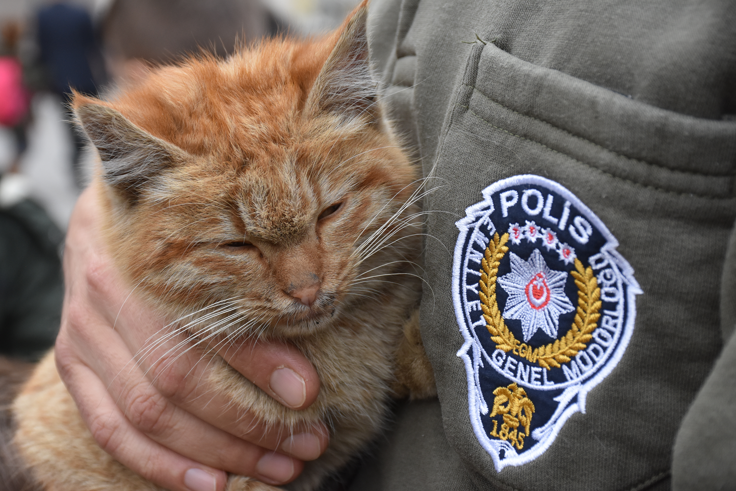 HAYD polisleri miniklere doa ve hayvan sevgisi alyor