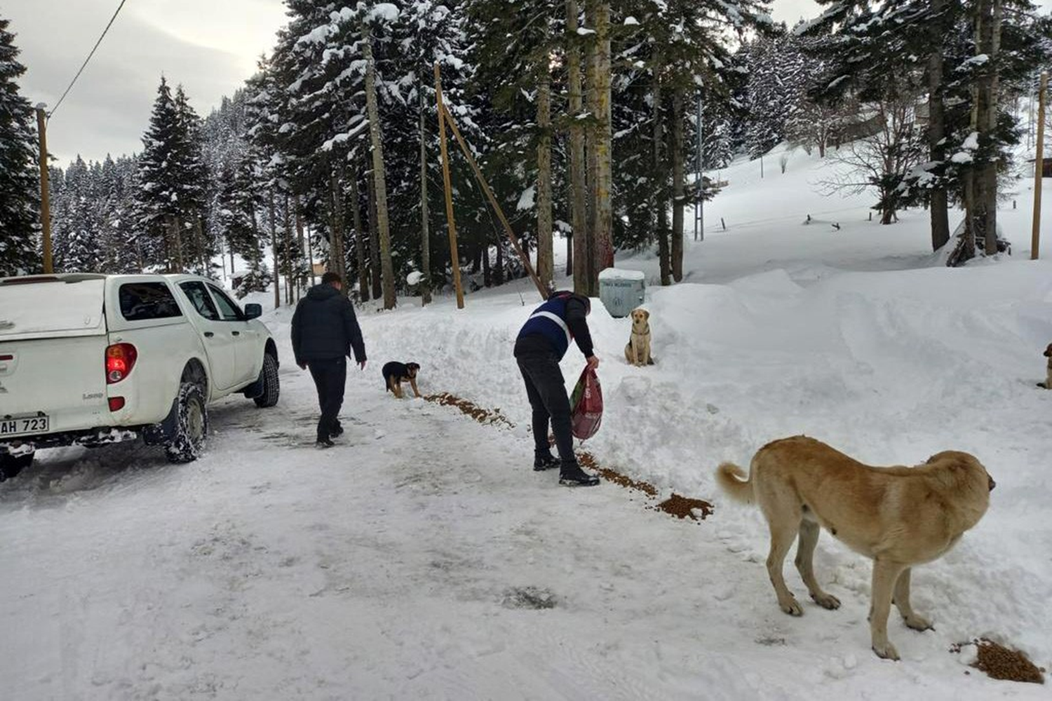 A��r k�� �artlar�nda yayla da b�rak�lan k�peklere devlet deste�i