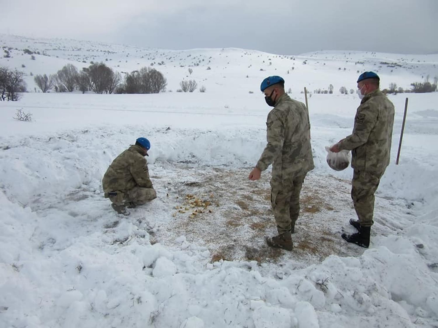 Komandolar, yaban hayvanlar� i�in do�aya yem b�rakt�