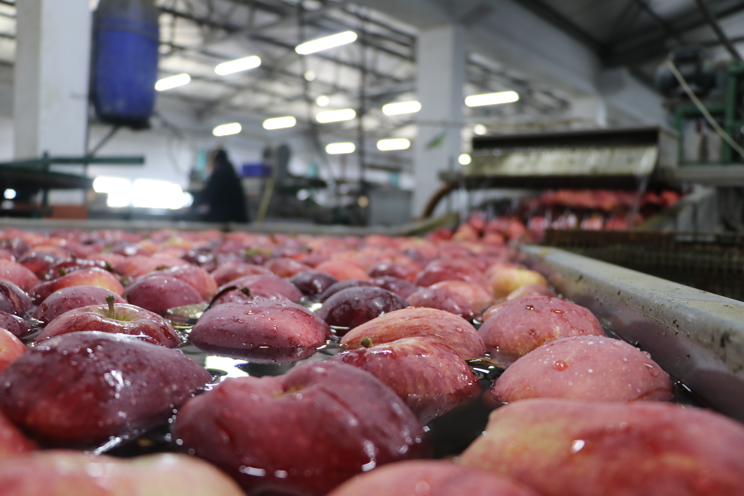 T�rkiye'de �retildi, d�nyaya sat�ld�: 180 milyon dolarl�k ihracat