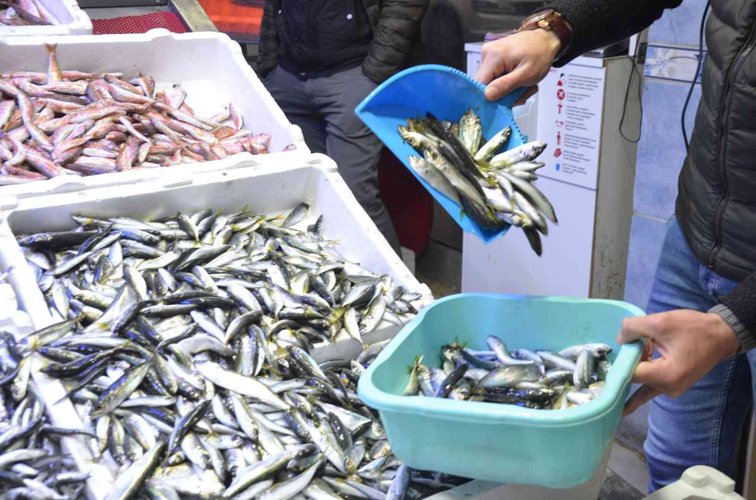 Hamsi fiyatlar�nda b�y�k d����!