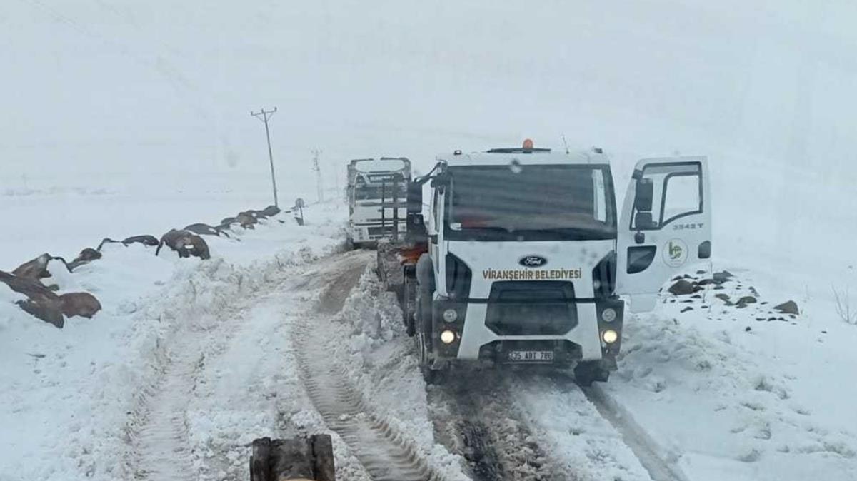 anlurfa-Osmaniye illeri arasndaki yollar kar ya nedeniyle trlara kapatld