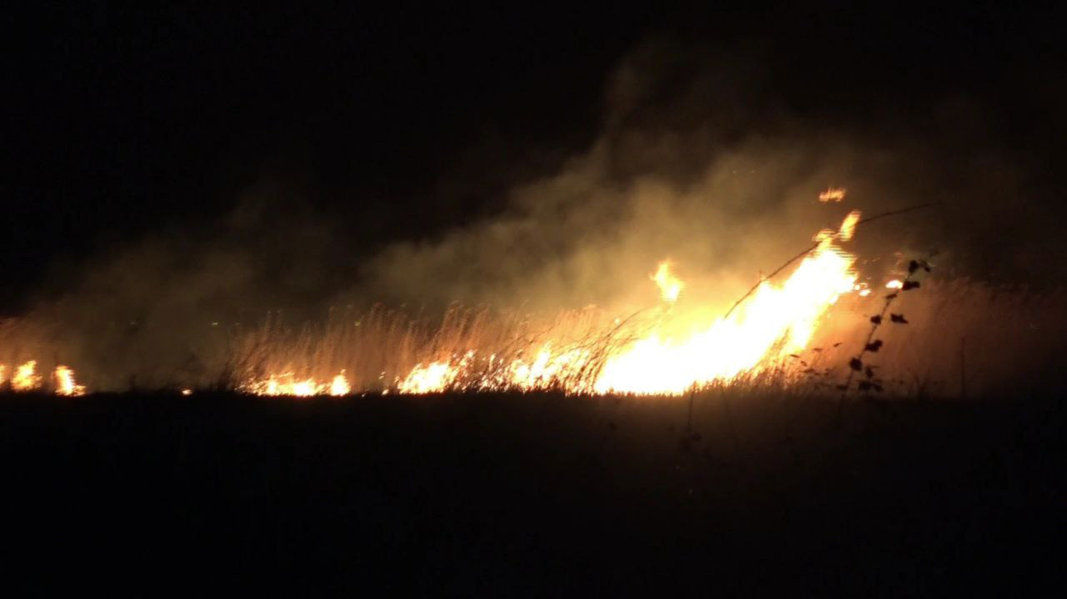 Bursa'da yangn! Rzgarn iddetiyle alevler yayld