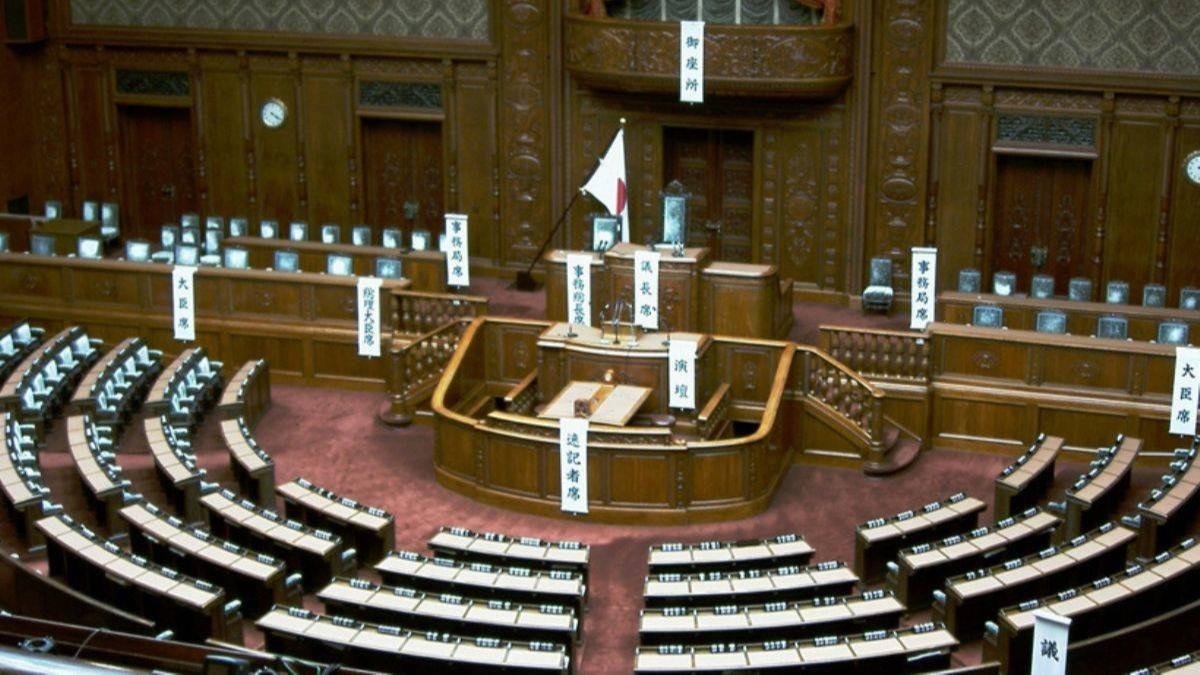 Japonya meclisi, in'deki ''insan haklar durumundan'' endieli