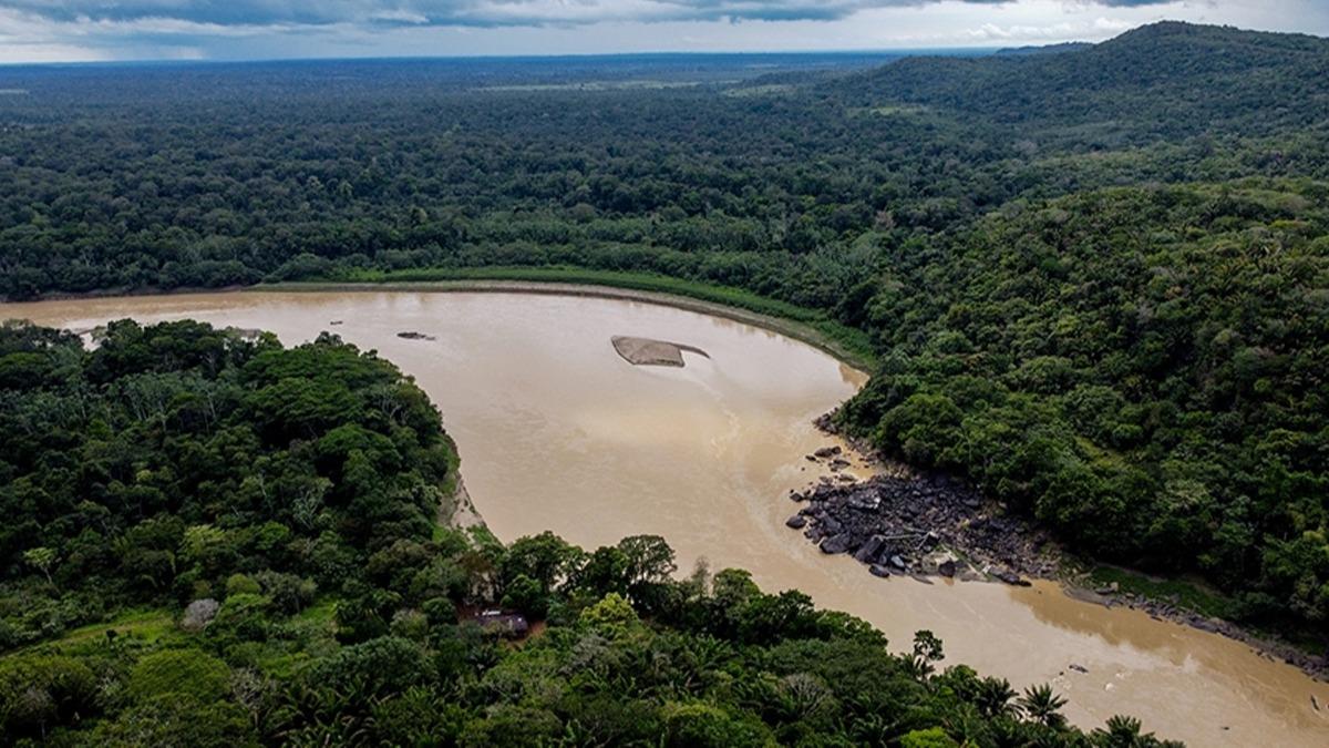 Amazonlar'daki orman tahribatnda ocak rekoru