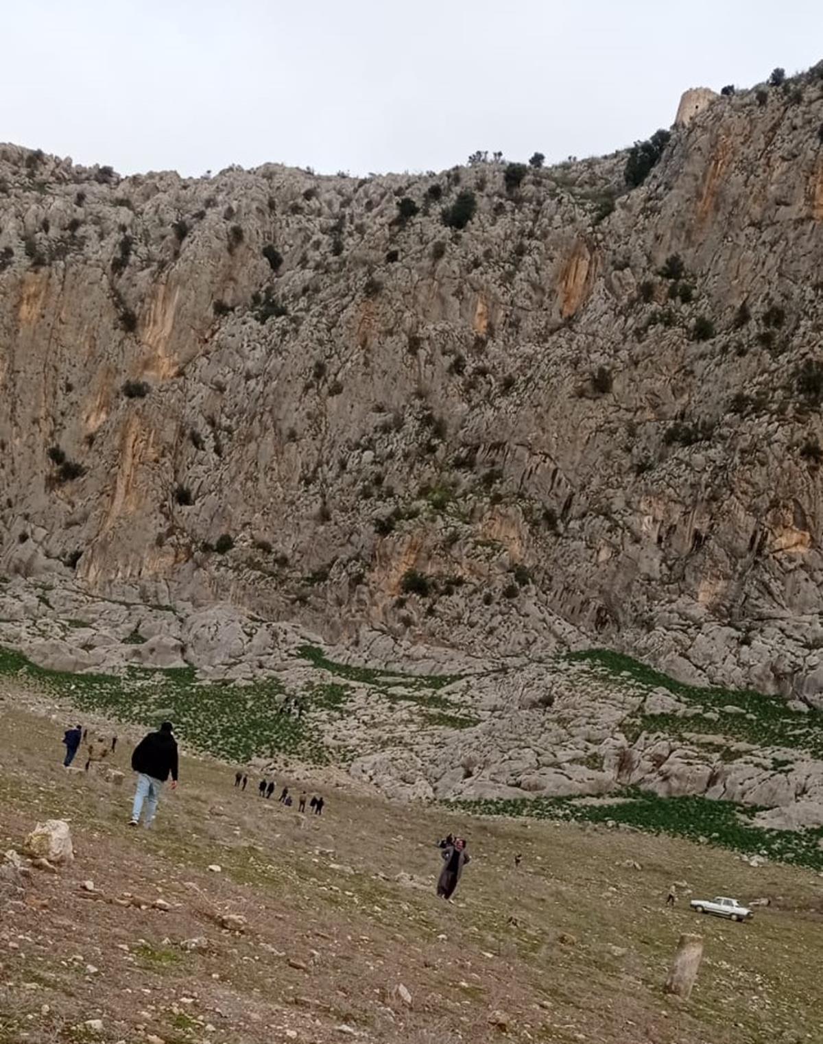 Koyunlar kurtarmak isterken canndan oldu