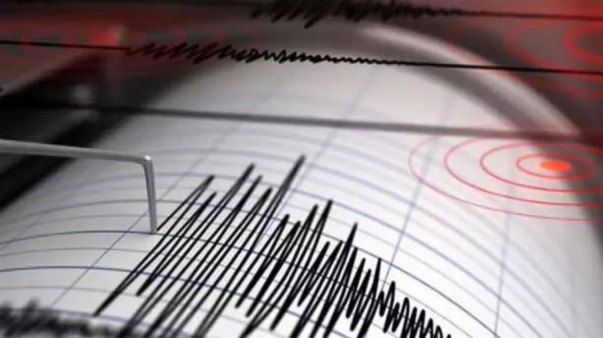 Prof. Dr. G�r�r; 'Marmara'n�n g�ney kesimlerinde ciddi �ekilde stres birikiyor'