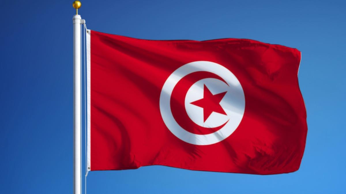 Tunus'taki bykeliler, Cumhurbakan Said'in Yksek Yarg Konseyini feshetme kararndan endieli