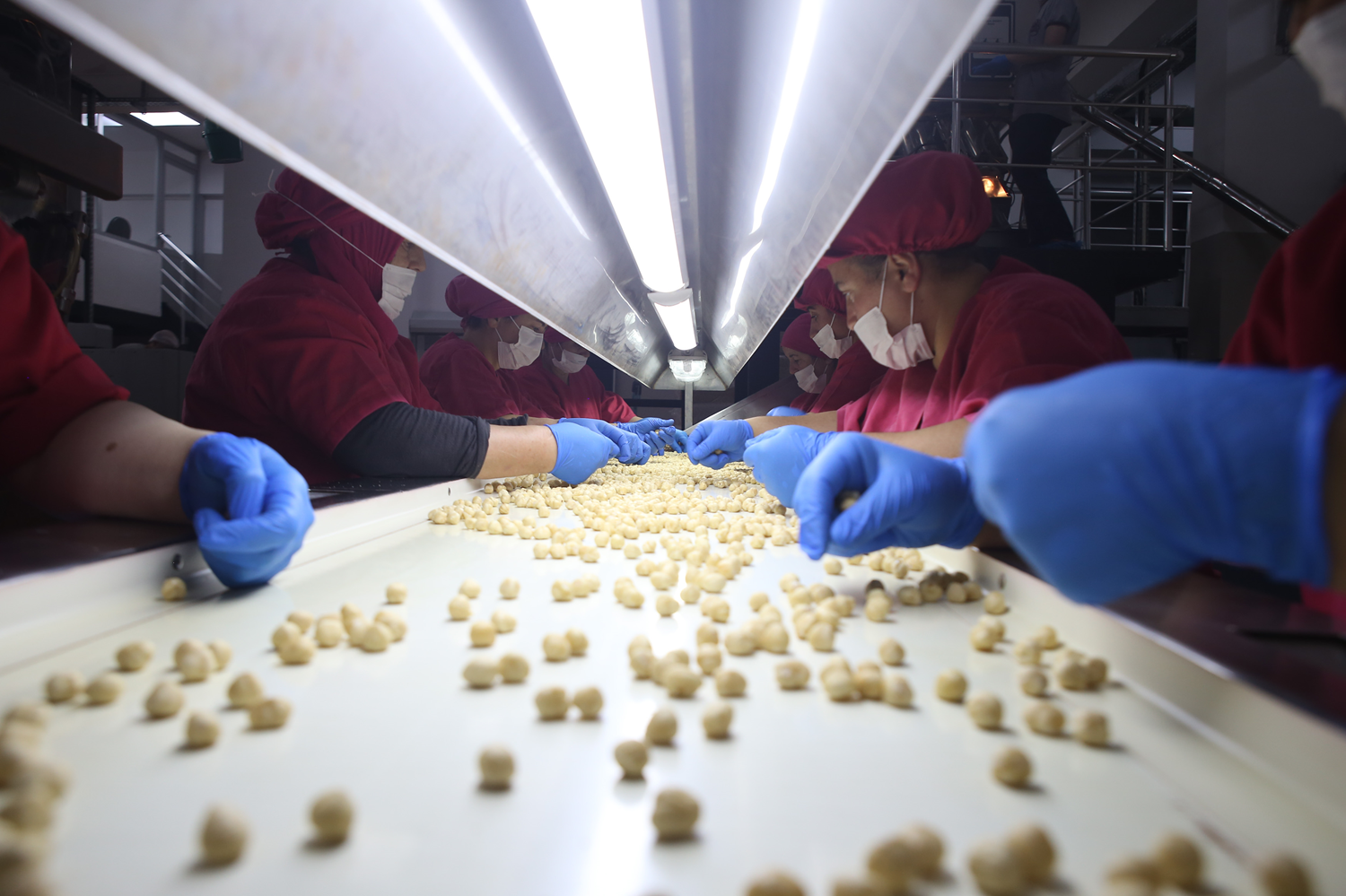 Ordu'da �retiliyor, y�zde 95'i d�nyaya sat�l�yor!