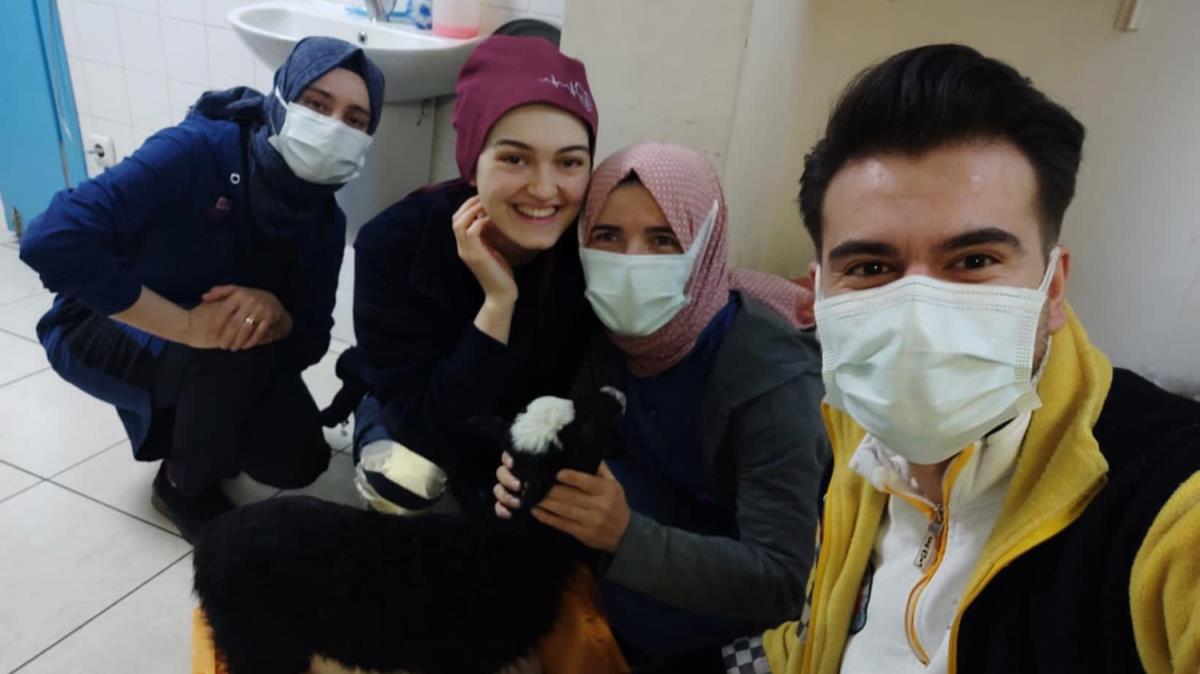 Veteriner olmaynca kuzu hastanede tedavi edildi