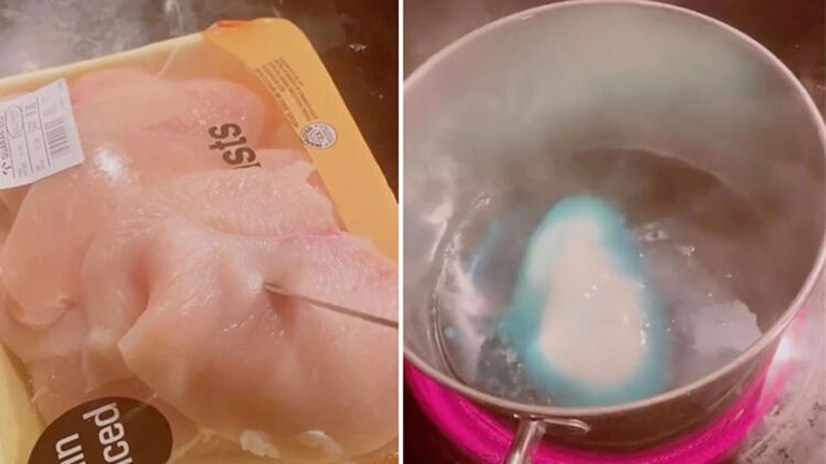 TBMM'ye yaz�l� olarak ilettiler! 'Uykucu Tavuk' ak�m�na son verildi