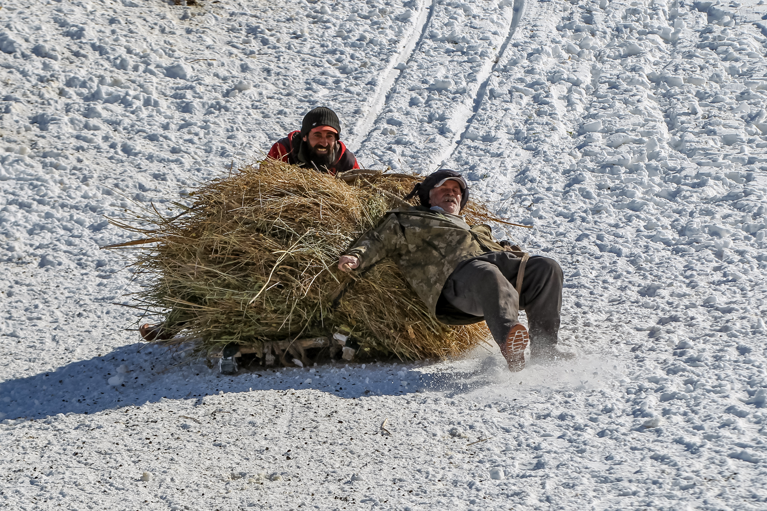 Besiciler yaz�n y�ksek kesimlerde biriktirdikleri otlar� k���n k�zaklarla ta��yor