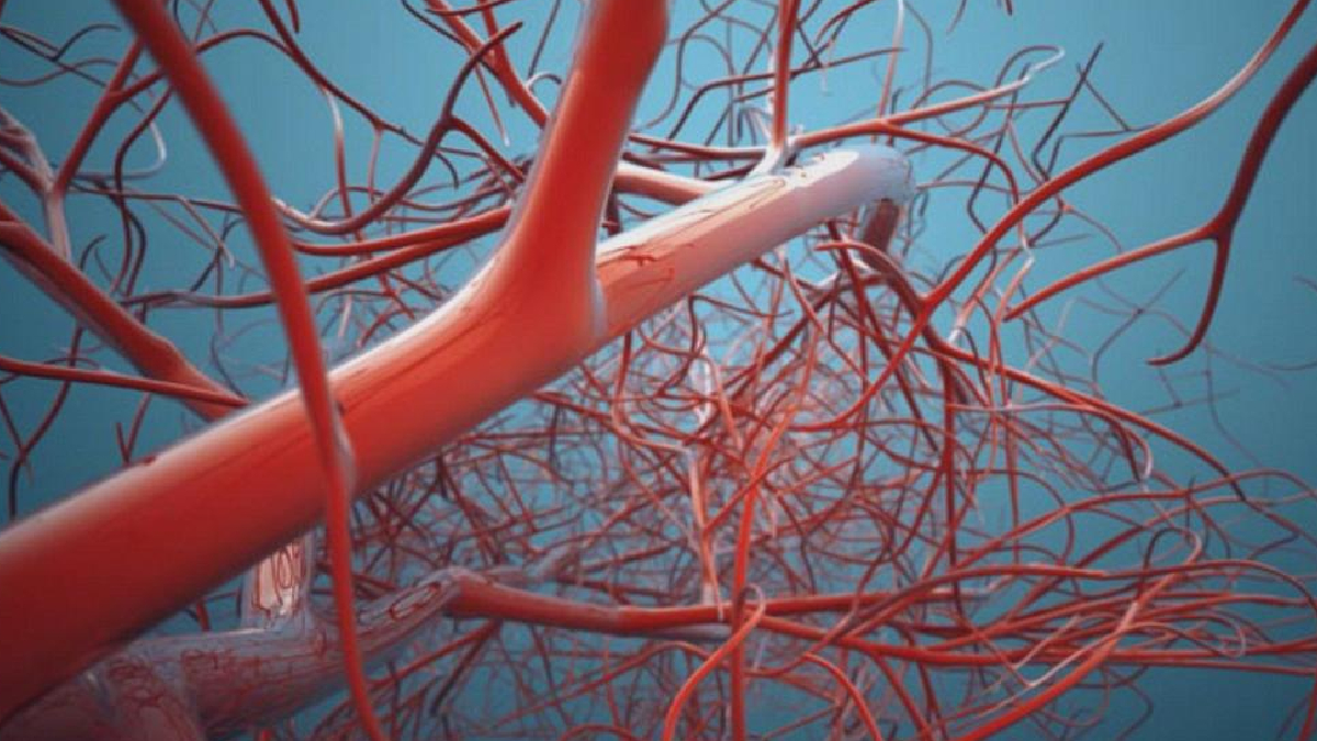 3 boyutlu biyo-yaz�c� ile yapay damar �retildi