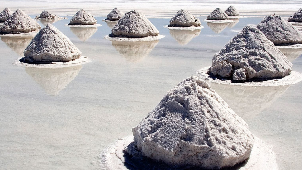 D�nya devinden 'beyaz alt�n' hamlesi! Rekabet k�z���yor