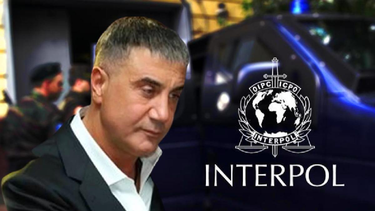 Trkiye talep etmiti! Interpol'den Sedat Peker karar