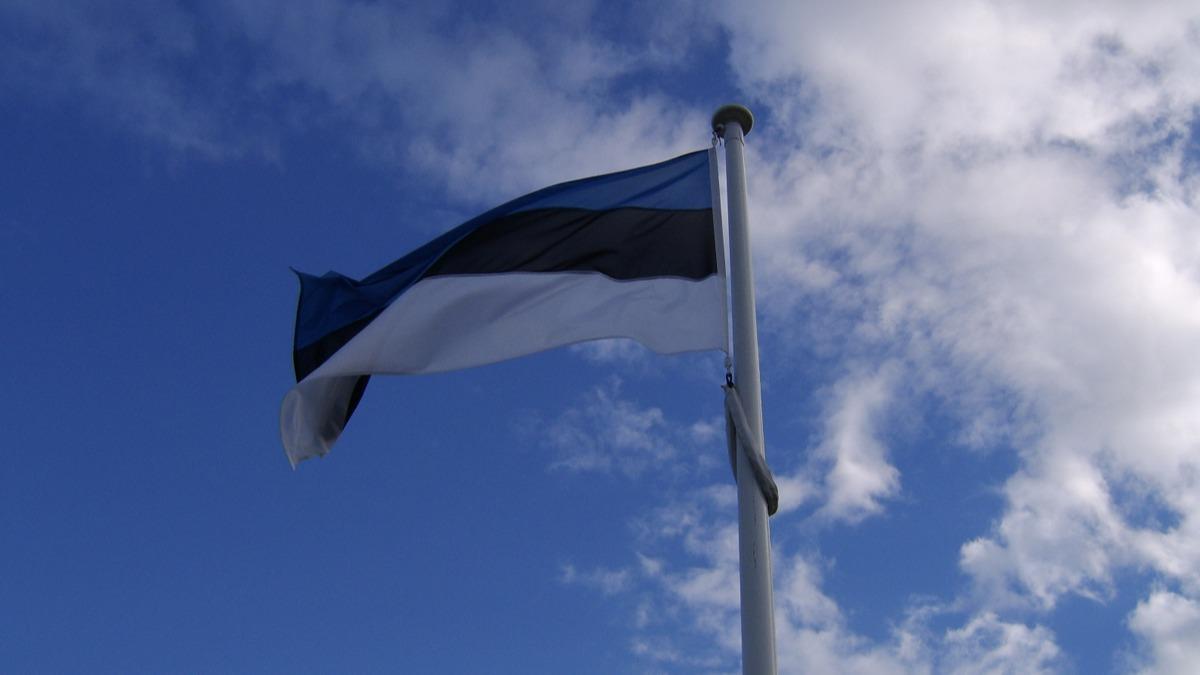 Estonya'dan Ukrayna'ya destek mesaj