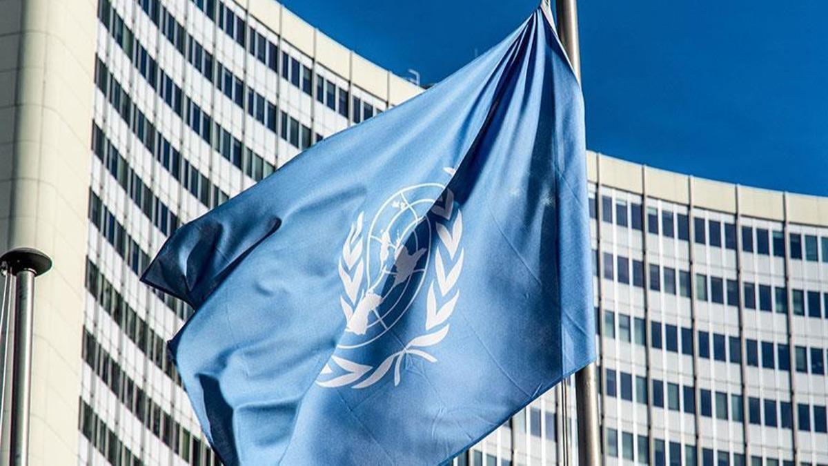 BM Genel Kurulu'nda ''Rusya'' oylamas