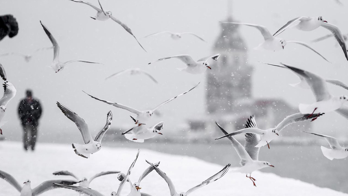 �stanbul'a ne zaman kar ya�acak?