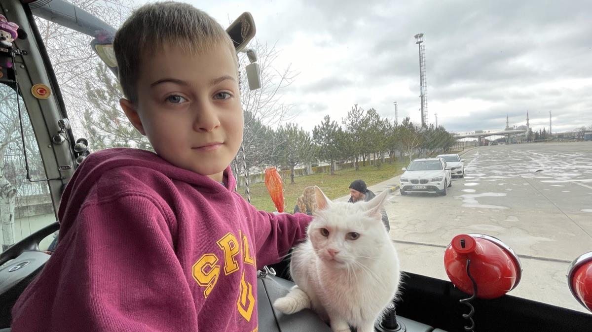 Ukrayna'dan 16 yandaki kedileri 'Kar' da getirdiler