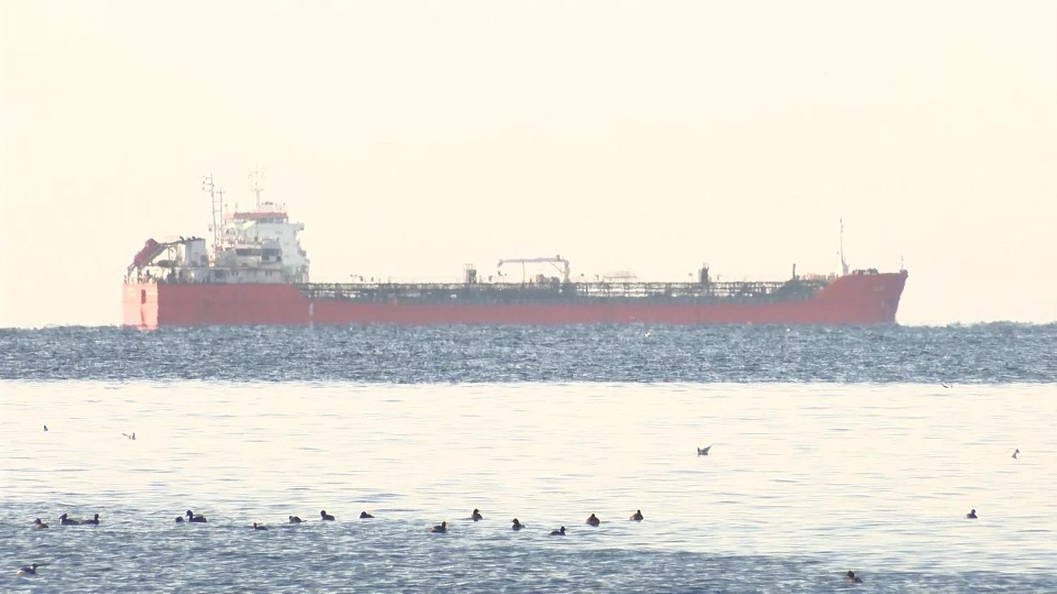 6 bin 99 ton ay�i�ek ya�� y�kl� tanker gemisi Marmara Denizi'ne a��ld�
