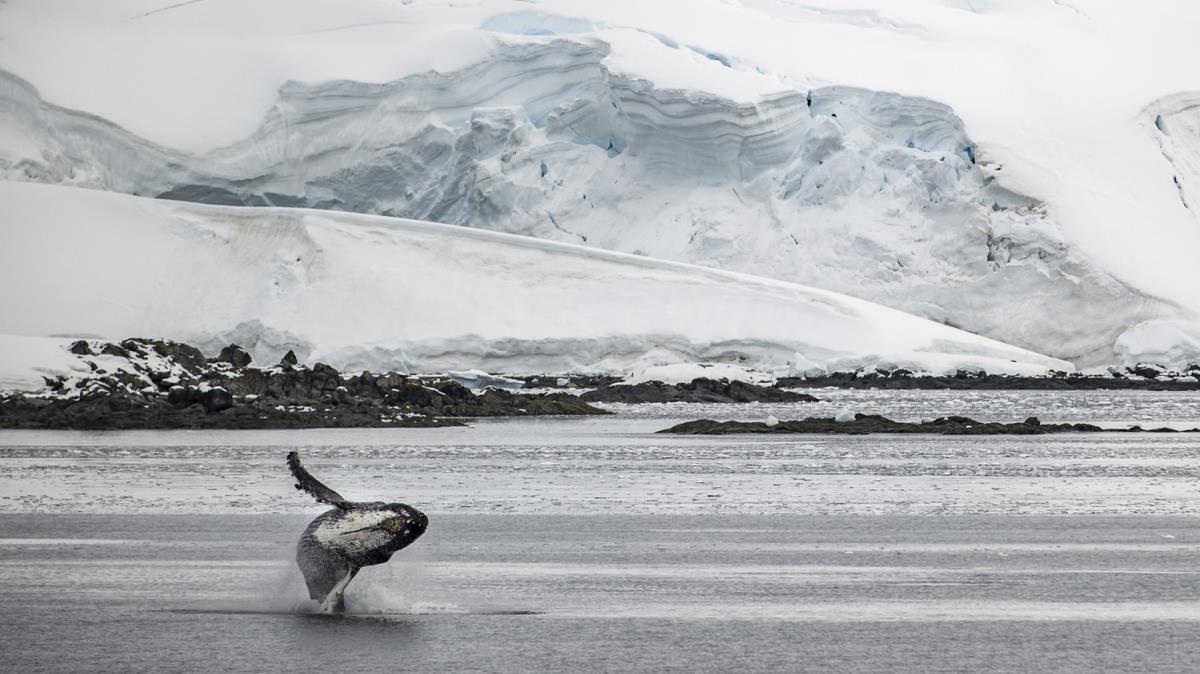 6. Ulusal Antarktika Bilim Seferi'nde ktaya 'minimum' ayak izi brald