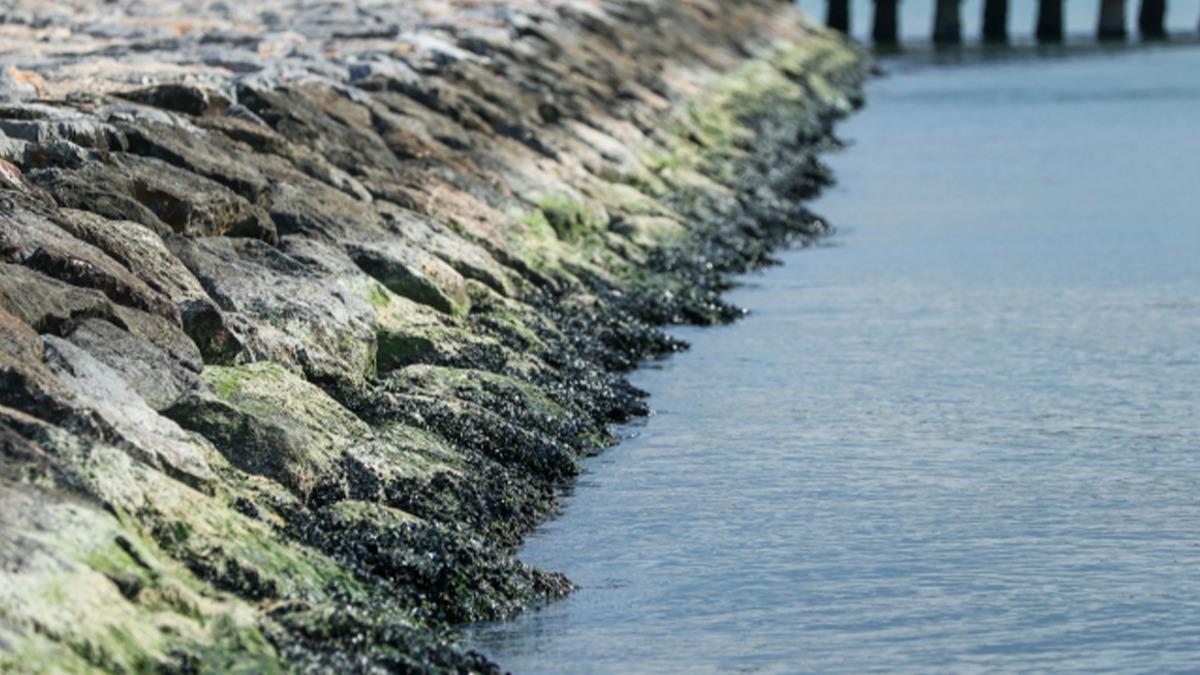 Balkesir, zmir ve Mula'nn ky ilelerinde deniz ekildi