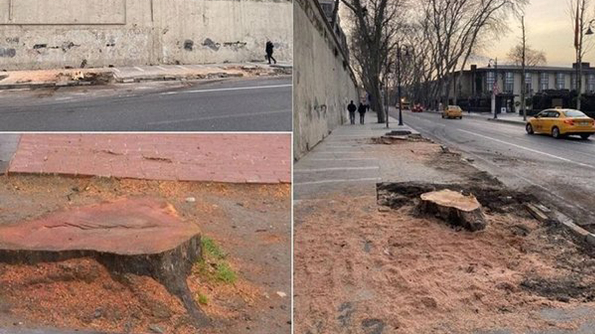 �BB'nin a�a� katliam�... '��narlar kanser de�ildi, cahilce kestiler'