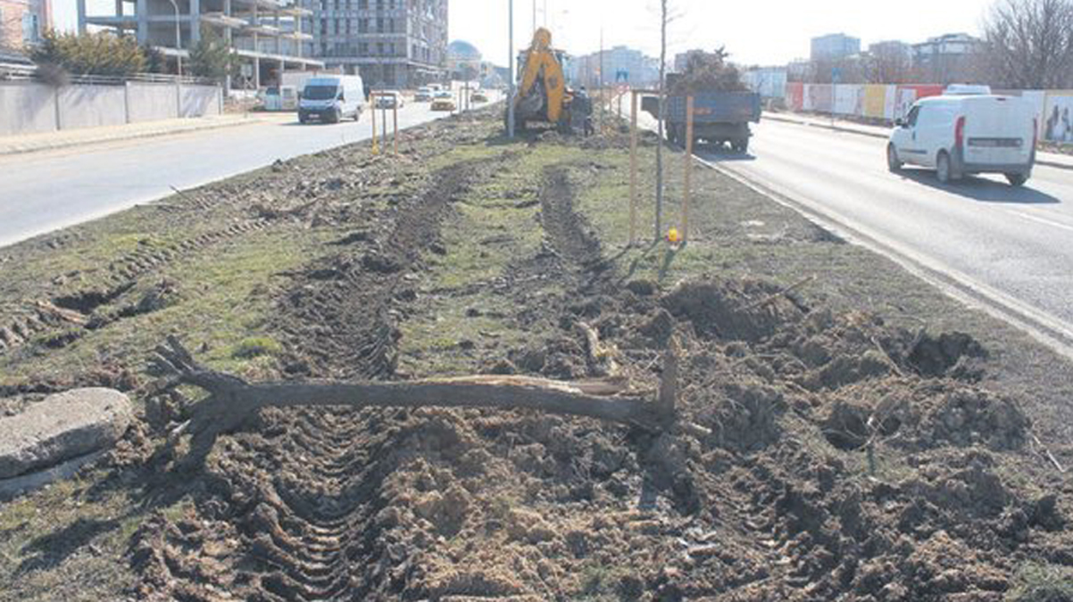 Bir a�a� katliam� da Tekirda� B�y�k�ehir Belediyesi'nden