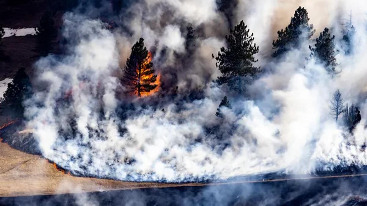 ABD'nin Colorado eyaletinde orman yangn nedeniyle 20 bin kii tahliye edildi 