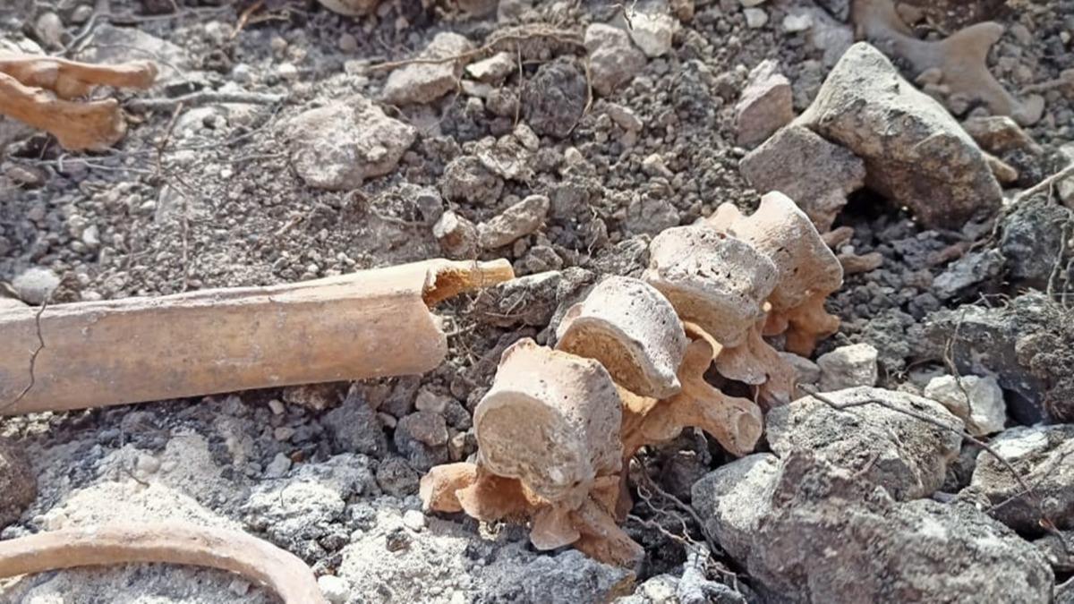 Azerbaycan'n Ermenistan igalinden kurtard Ferruh kynde yeni insan iskeletleri bulundu