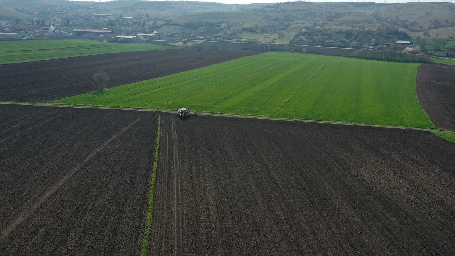 Edirne'de ay�i�e�i �reticilerin ekim mesaisi ba�lad�