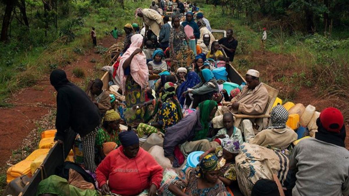 Kongo'daki bilano arlayor! l says 400 olarak akland