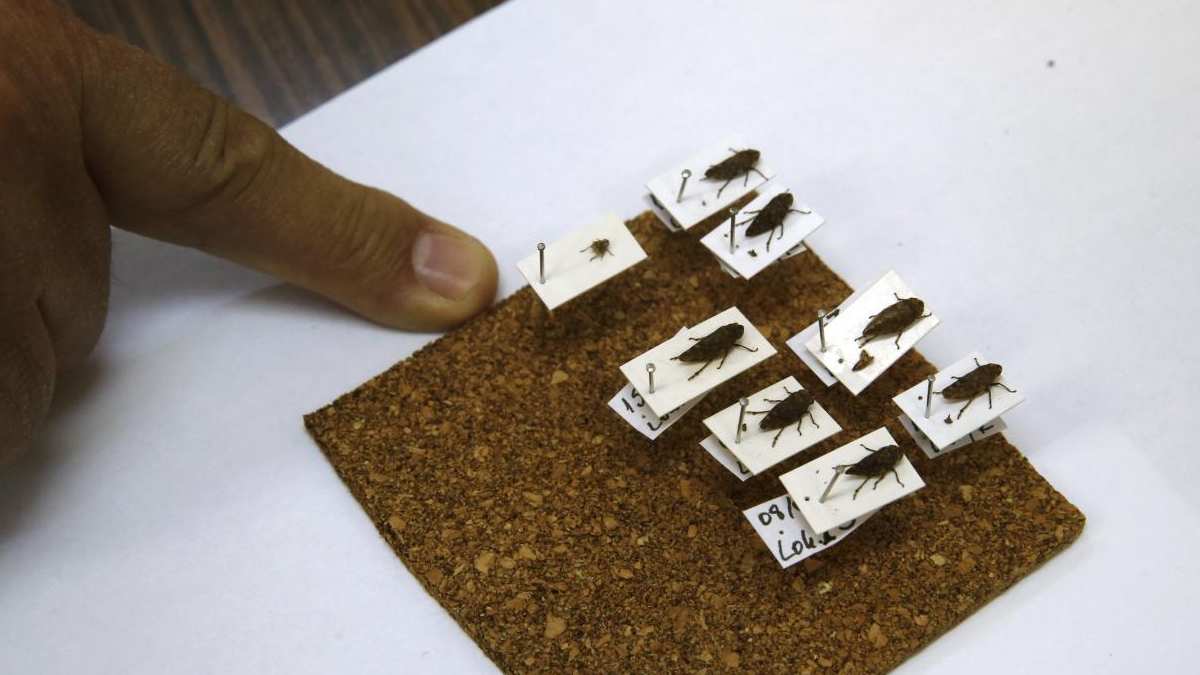 Sinop'ta ke�fedildi! Bulundu�u yerde �nlem al�n uyar�s� yap�ld�