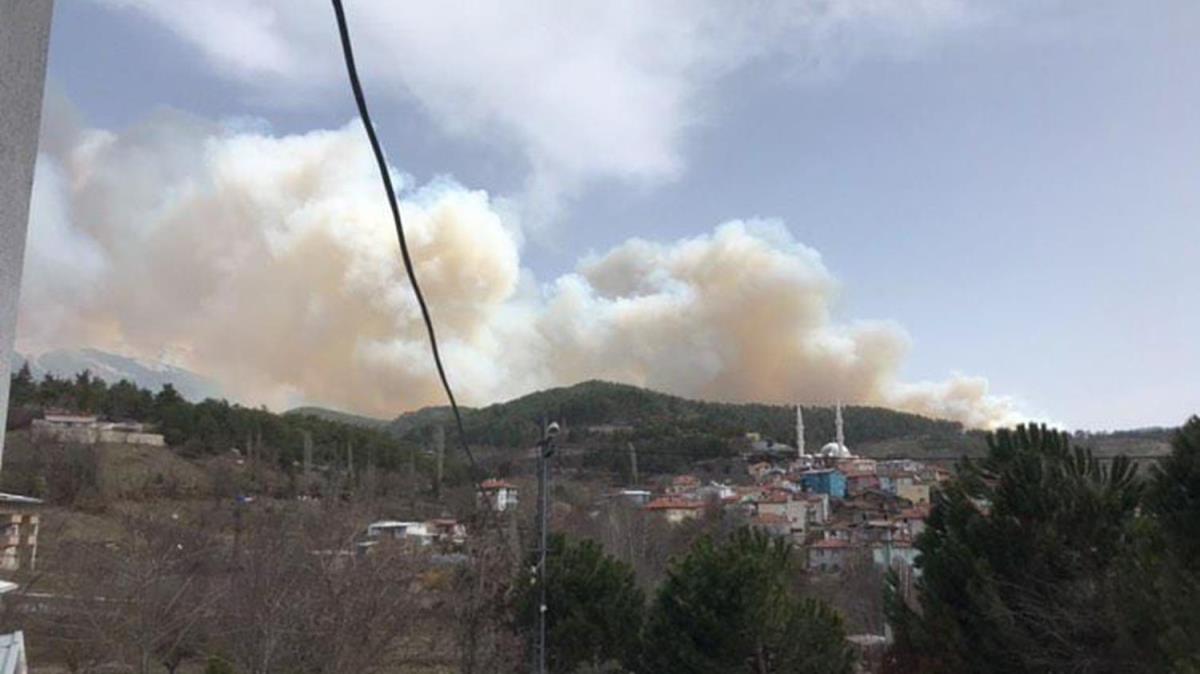 Bursa'da orman yangn: Ekipler mdahale ediyor