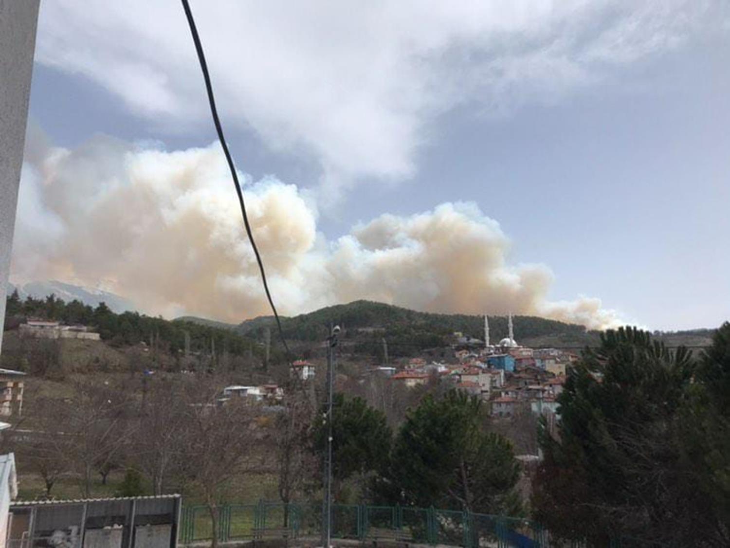 Bursa'da orman yang�n�: Ekipler m�dahale ediyor